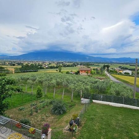Delizioso Appartamento Collinare Limigiano Luaran gambar