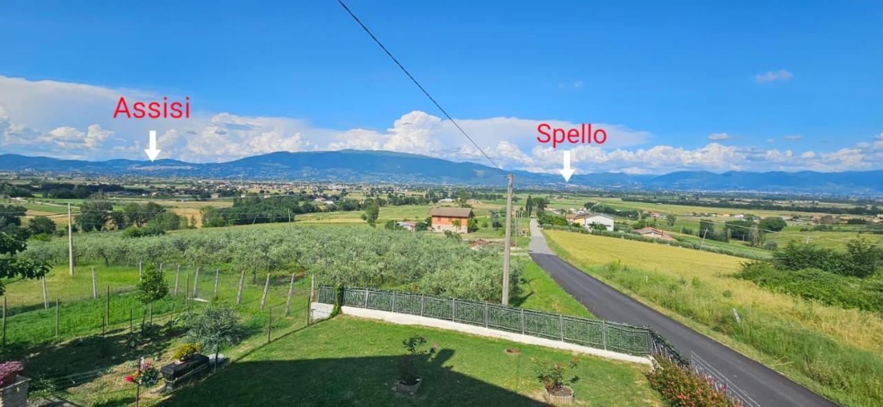 Delizioso Appartamento Collinare Limigiano Luaran gambar